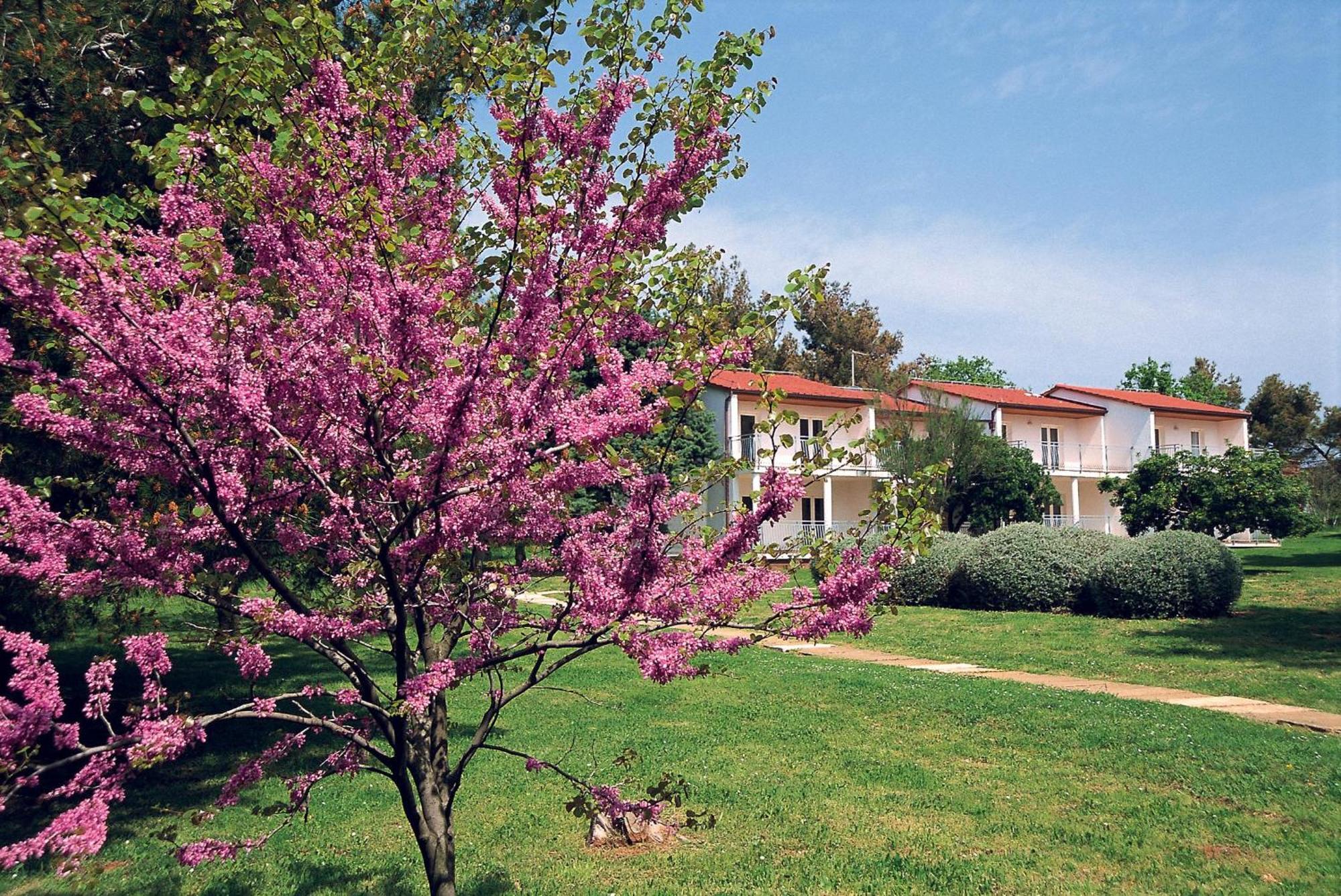 Ai Pini Medulin Resort Екстер'єр фото